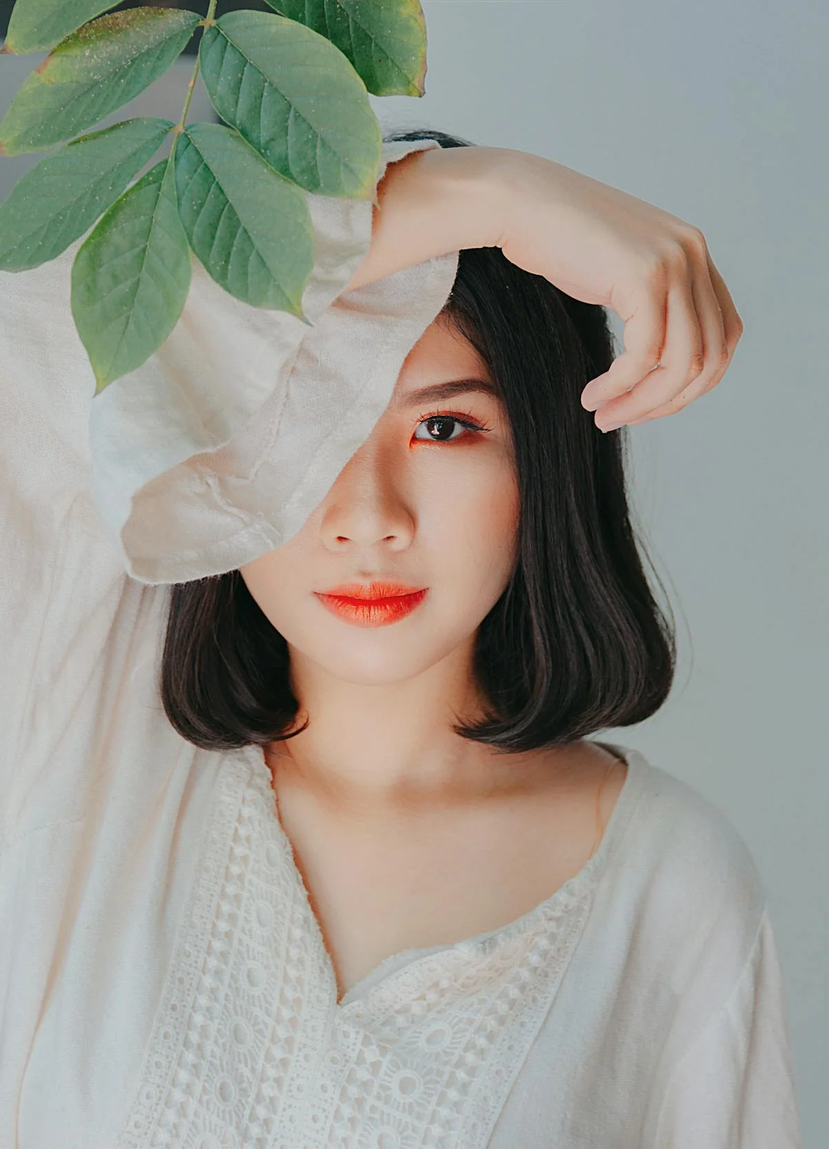 ảnh